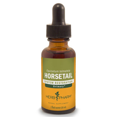 Horsetail - My Village Green